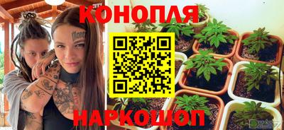 стаф Камышлов