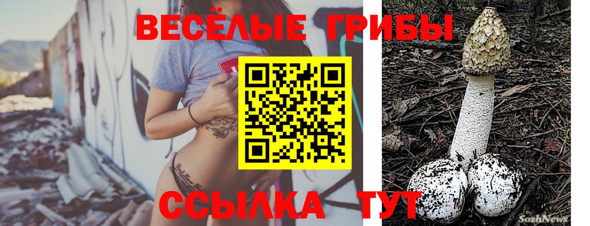Ленинск-Кузнецкий  Галлюциногенные грибы мицелий  Галлюциногенные грибы мицелий  дарнет шоп  Вход с VPN 